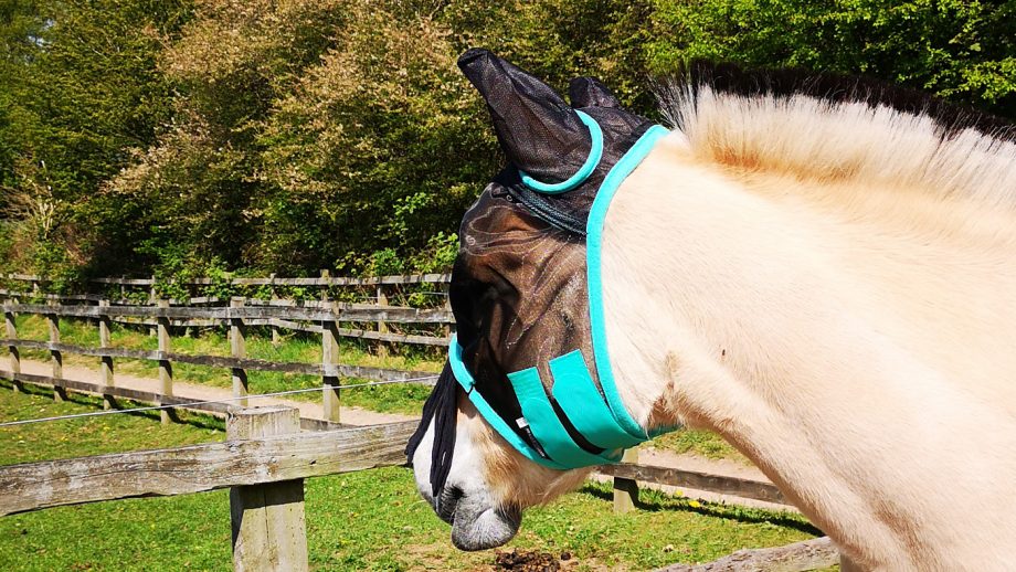 Hy Equestrian Mesh Half Mask from side