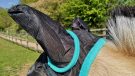 Hy Equestrian Mesh Half Mask ear