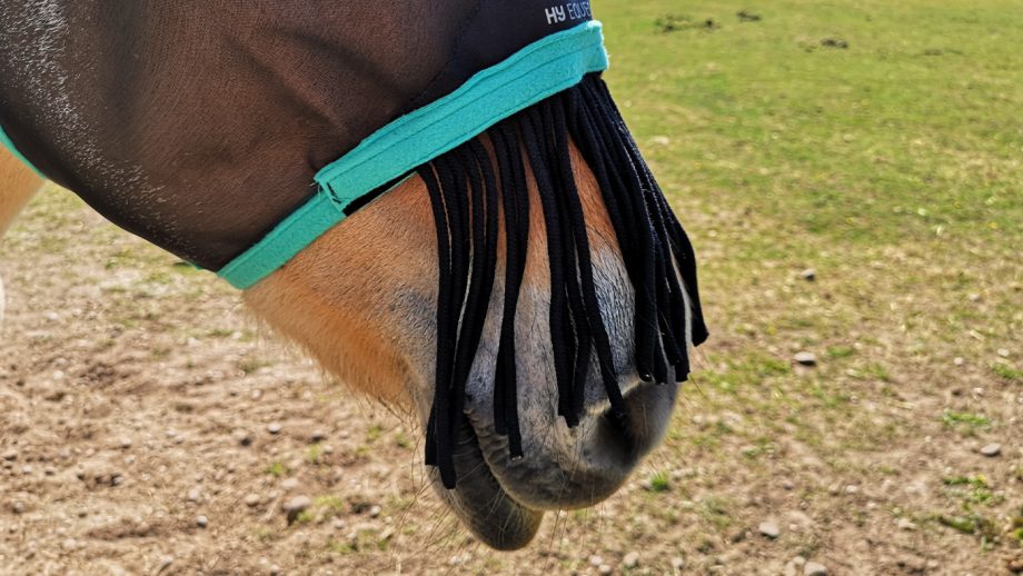 Hy Equestrian Mesh Half Mask nose fringe