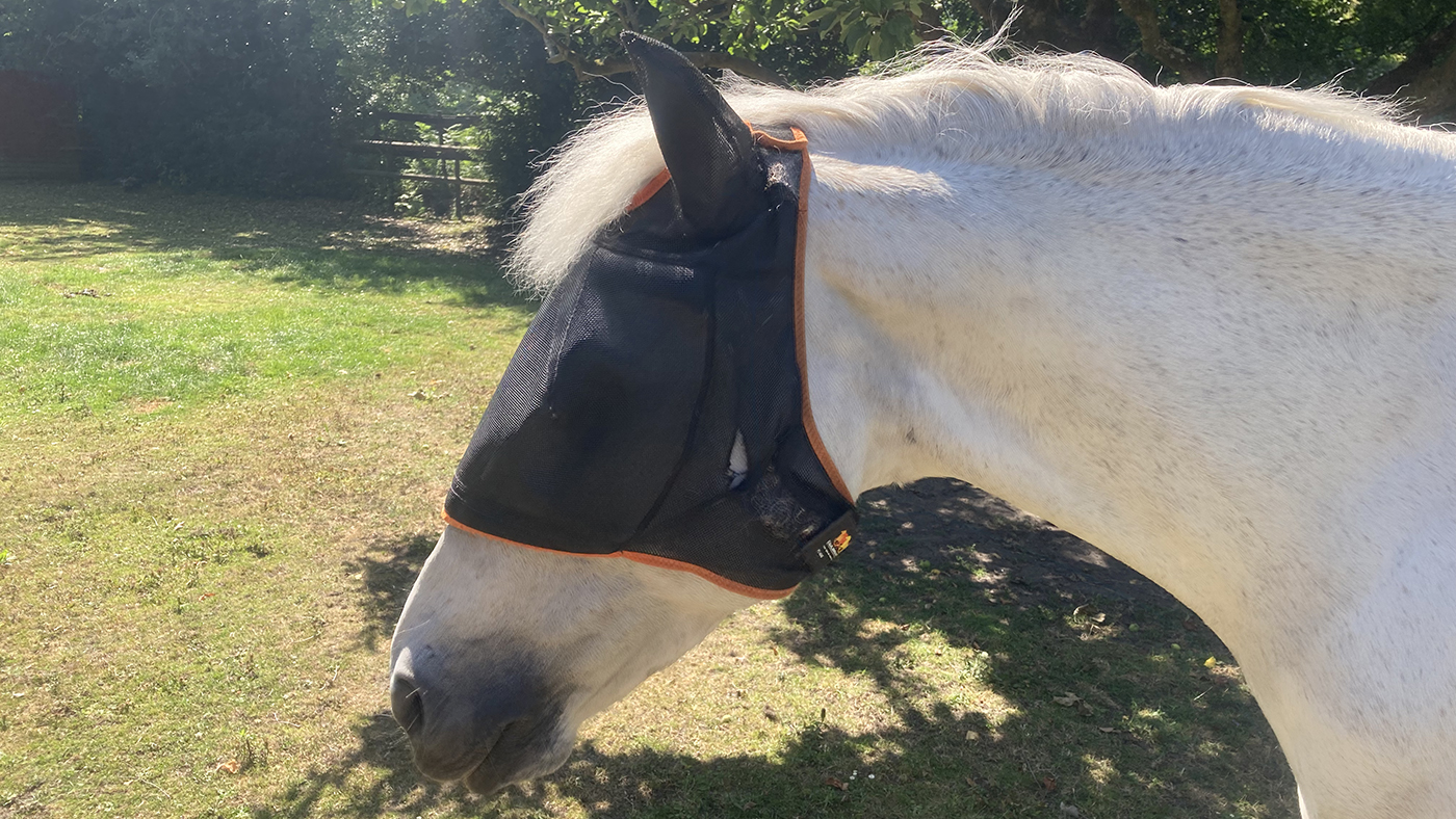 Equilibrium Field Relief Midi With Ears – hole in cheek after eight weeks use