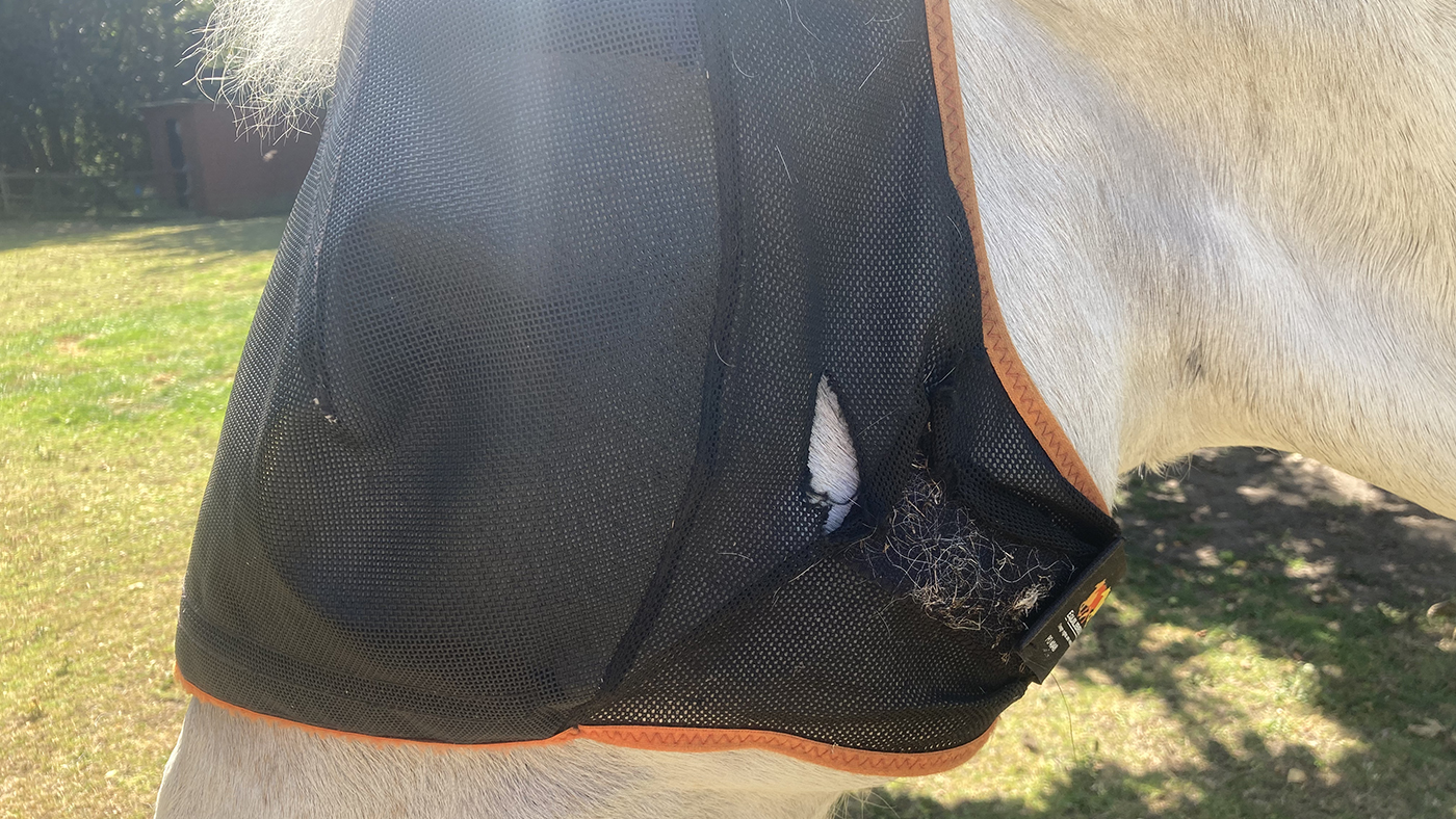 Equilibrium Field Relief Midi With Ears – hole in cheek after eight weeks use