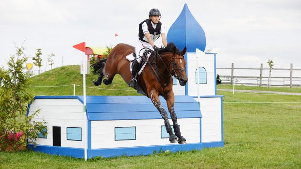SAP Hale Bob OLD retired: the horse is pictured at the 2017 European Championships
