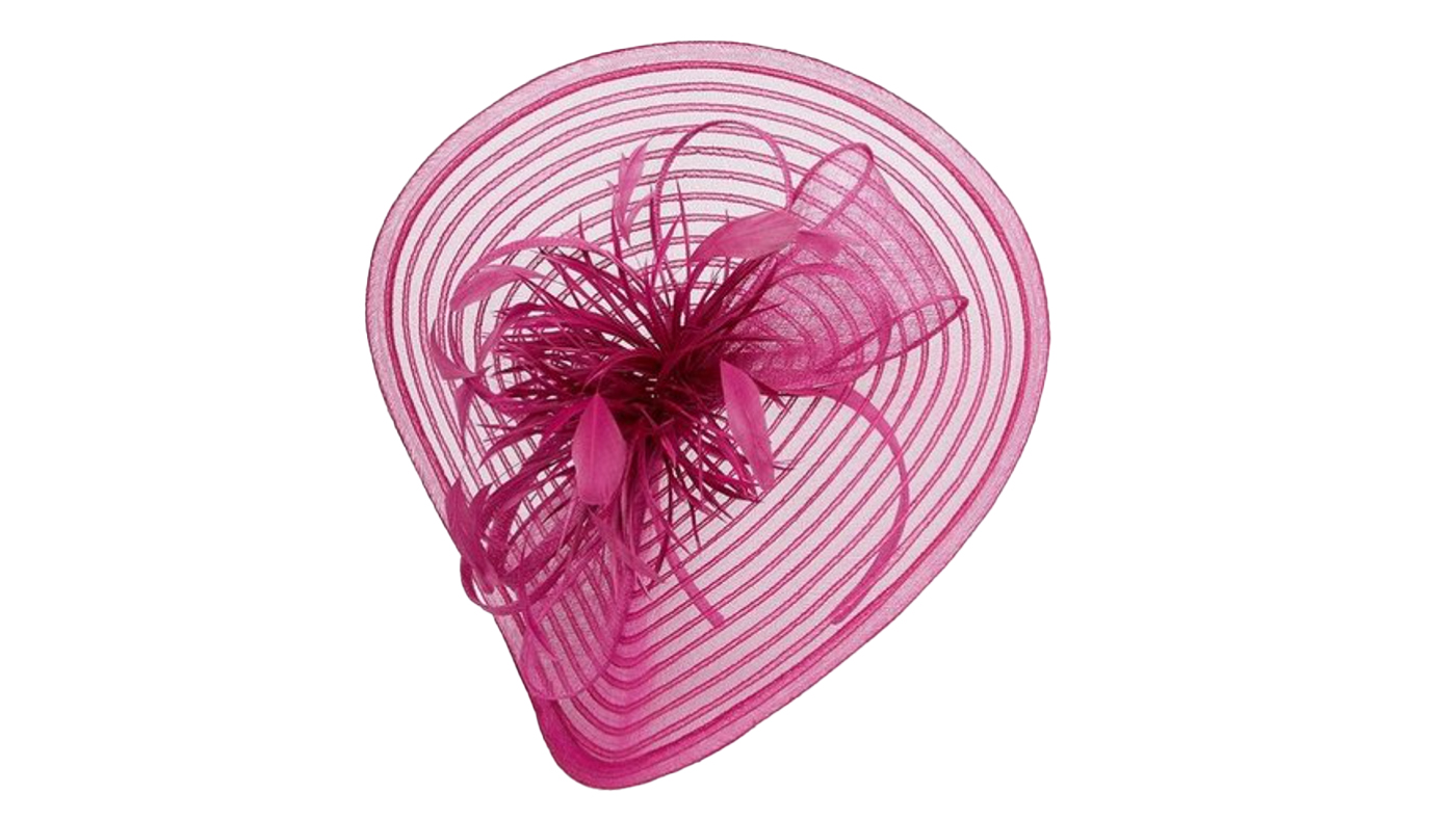 Karen Millen Feather Detail Fascinator