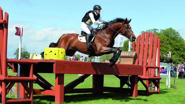 SAP Hale Bob OLD injured: the horse is pictured at Badminton 2015