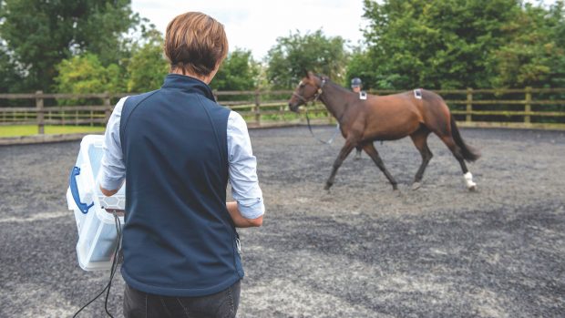 Vet mental health remains a concern as new figures have highlighted online abuse targeted at vets