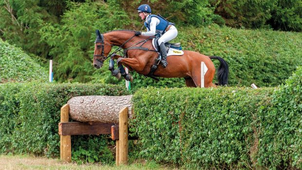 In the latest Nicola Wilson update, Nicola’s ride Coolspark Sarco is to be competed by Piggy March