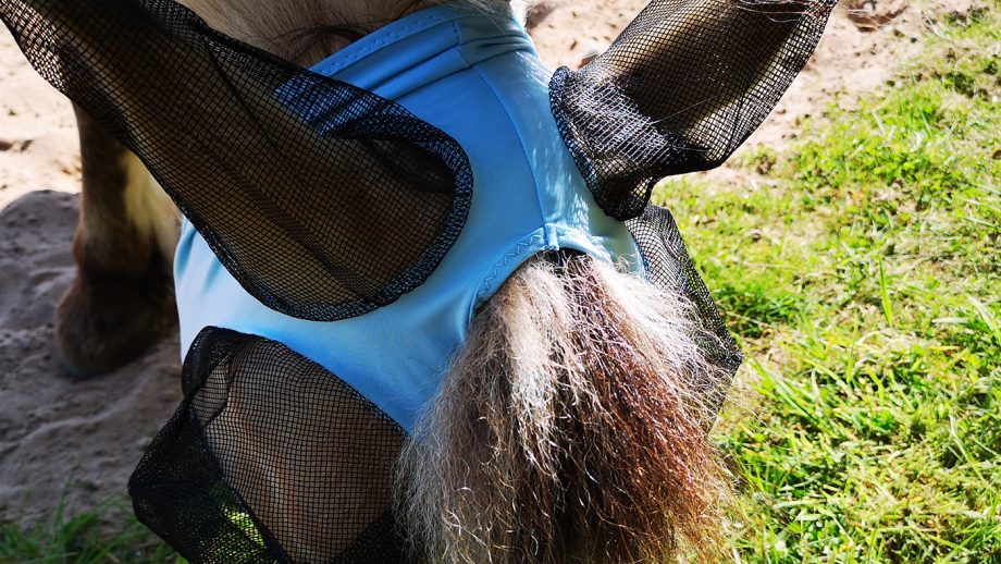 Premier Equine Comfort Tech Lycra Fly Mask from above