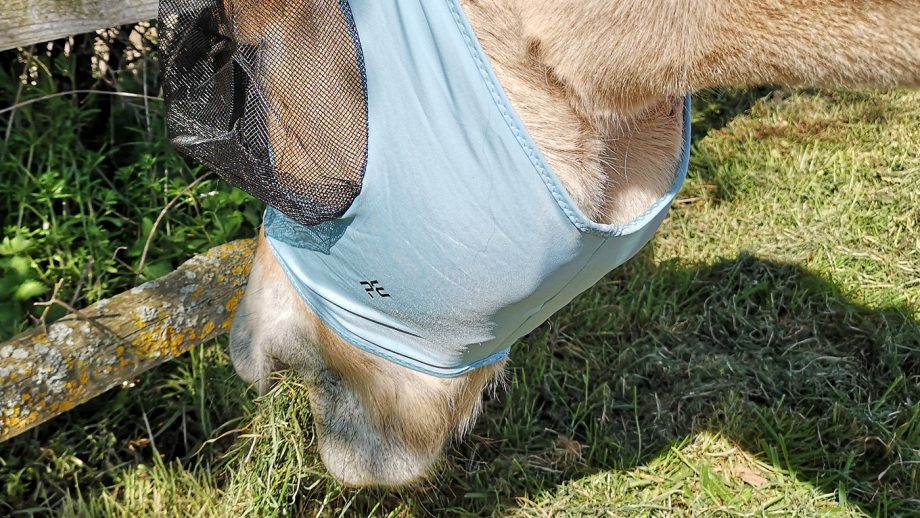 Premier Equine Comfort Tech Lycra Fly Mask under chin
