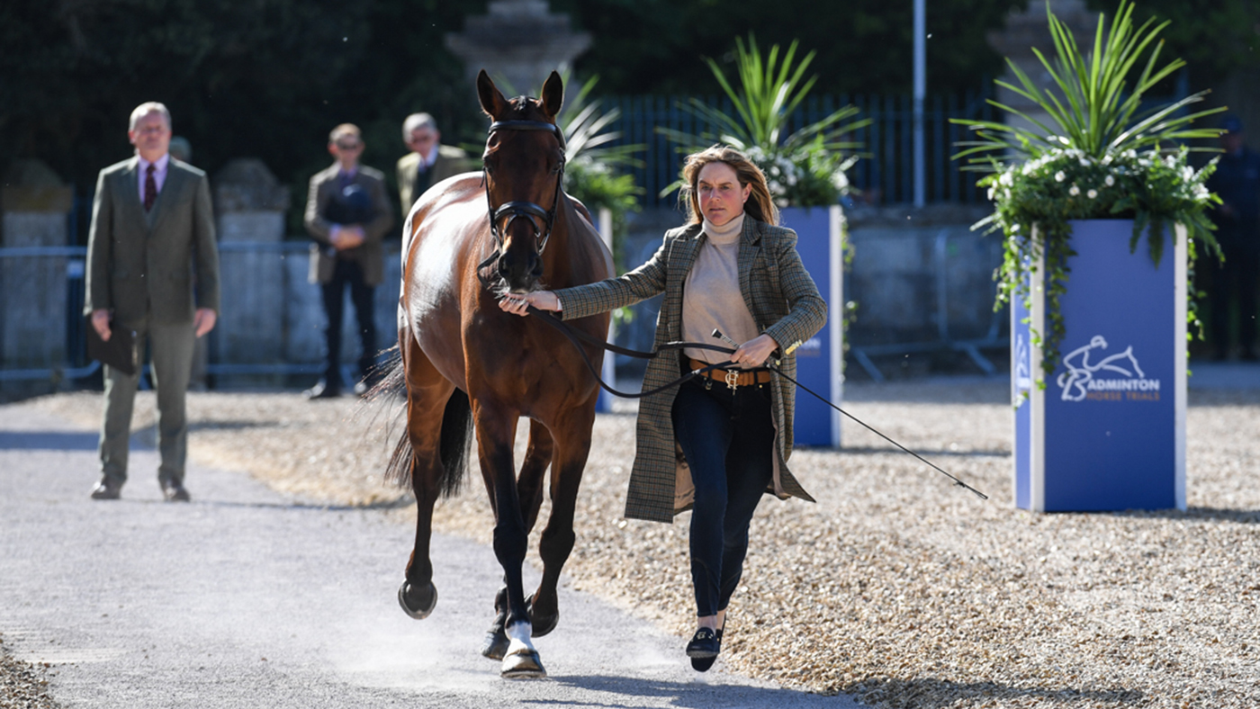 Badminton Horse Trials trot-up fashion: Piggy March and Vanir Kamira