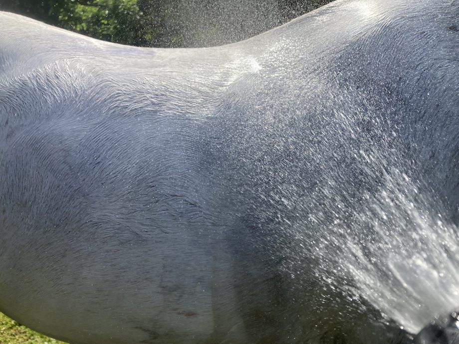 Rinsing off the Blue Snow Shampoo