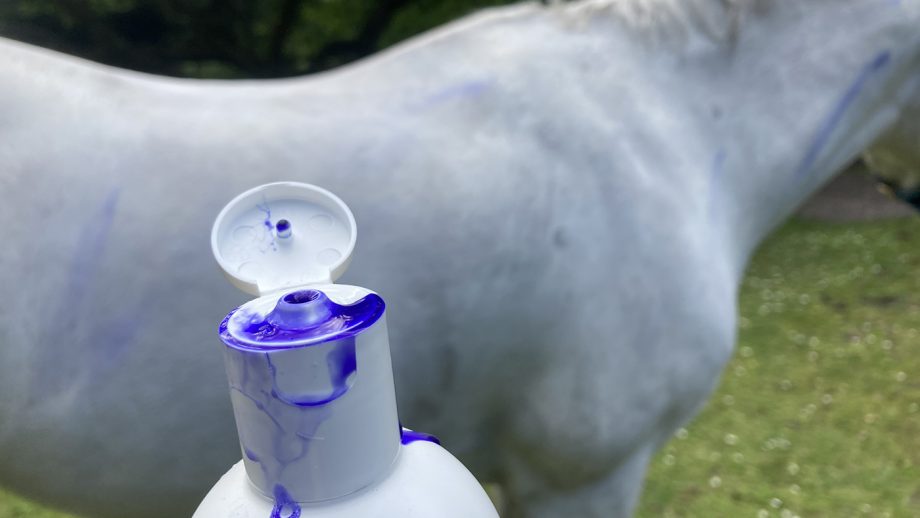 Blue Snow Shampoo cap