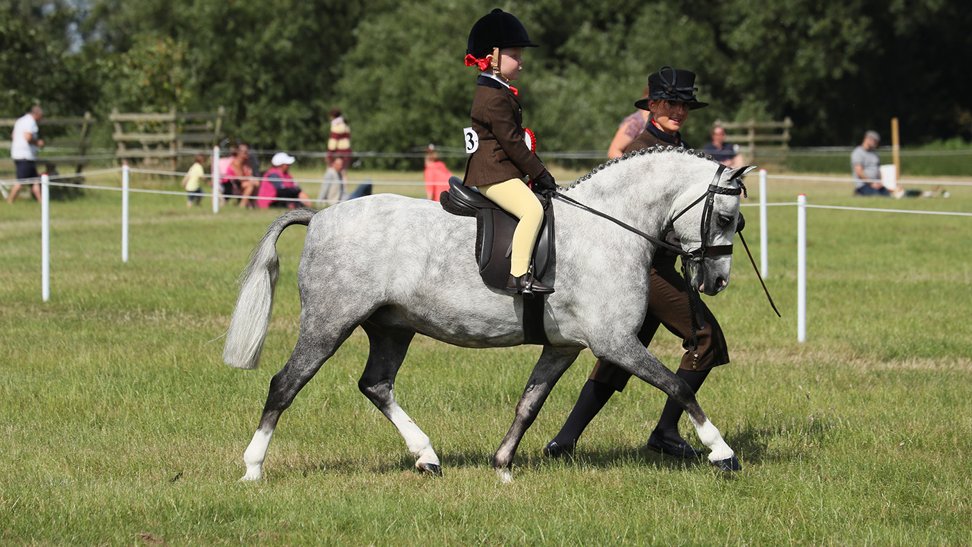 Producer Sharn Linney on how to train lead rein ponies Horse & Hound