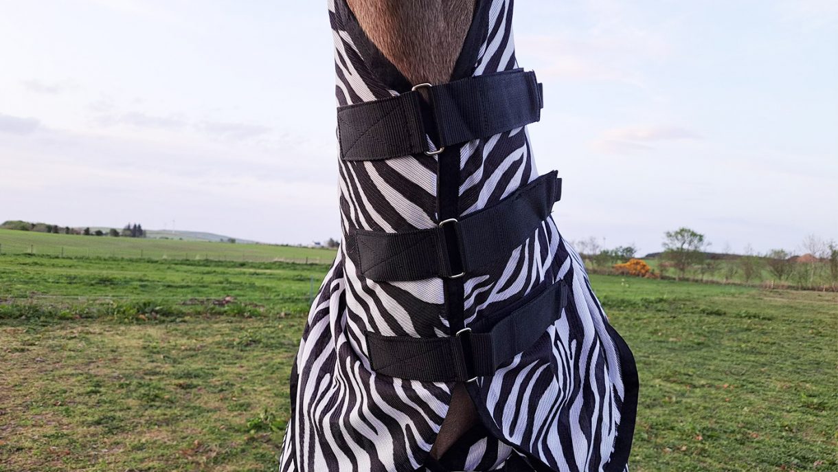 StormX Original Zebra Fly Rug review Horse & Hound
