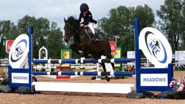 Four-year-old rider Tim Morton is already achieving great results in showjumping