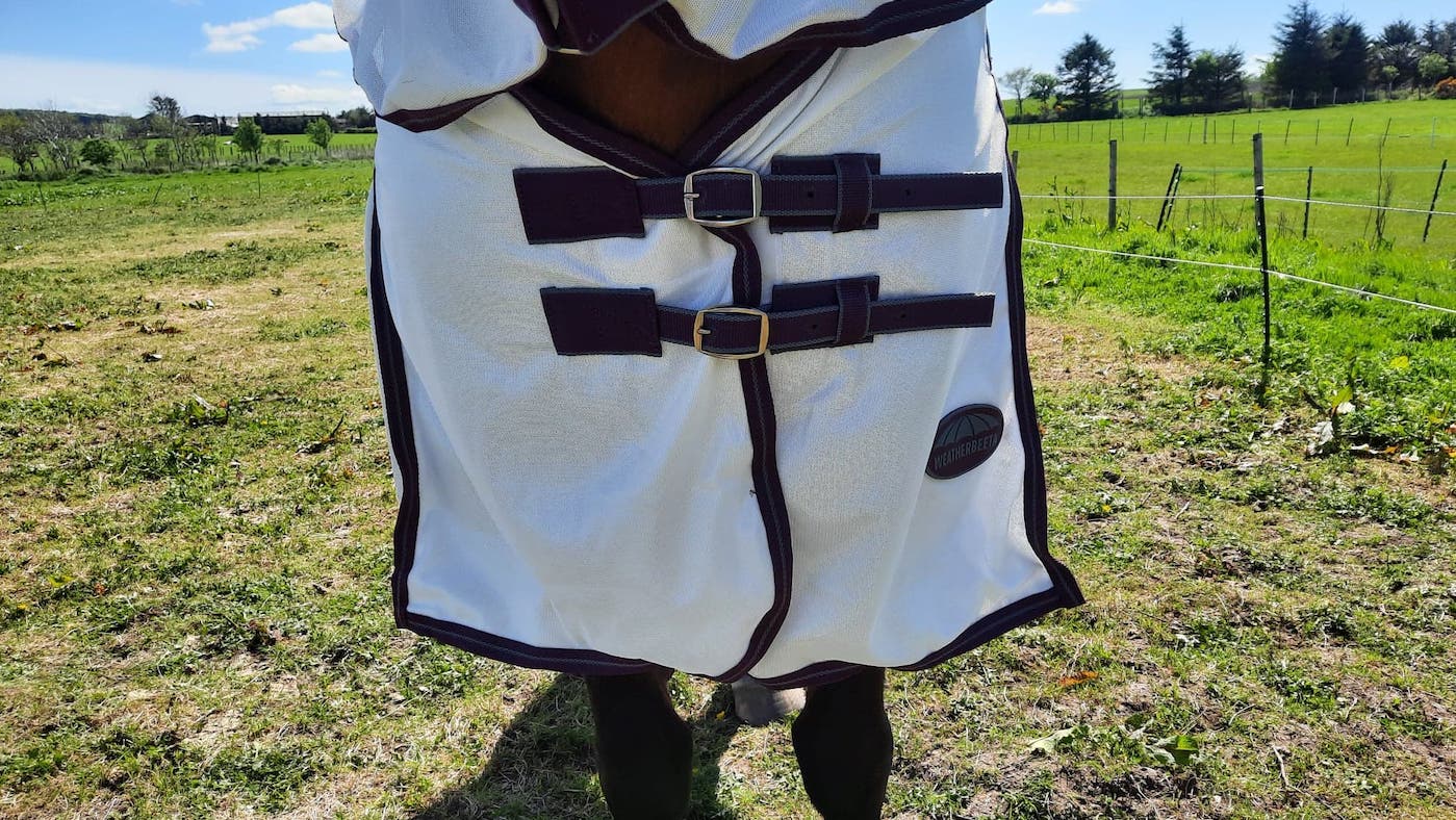 WeatherBeeta ComFiTec fly rug buckles