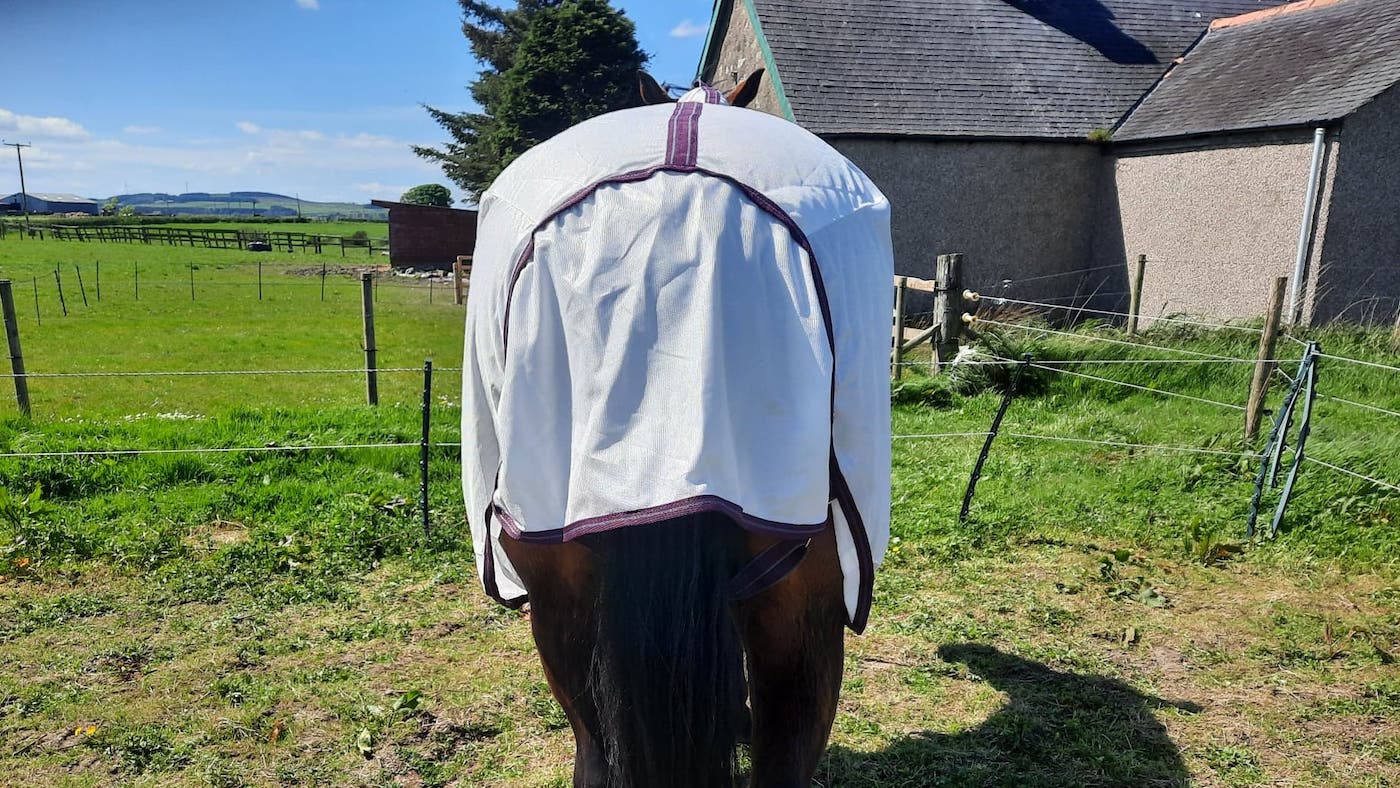 WeatherBeeta ComFiTec fly rug tail flap