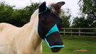 WeatherBeeta ComFiTec fly mask from side