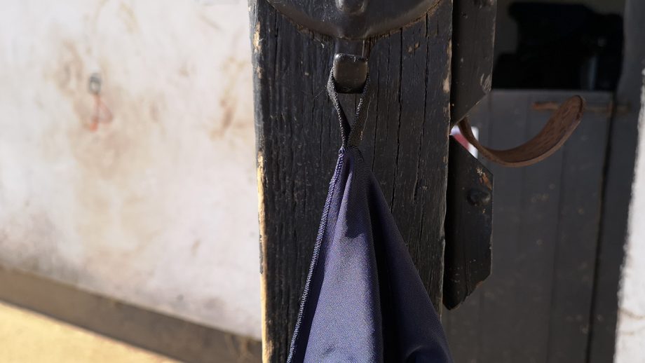 WeatherBeeta Lcyra fly mask hung up