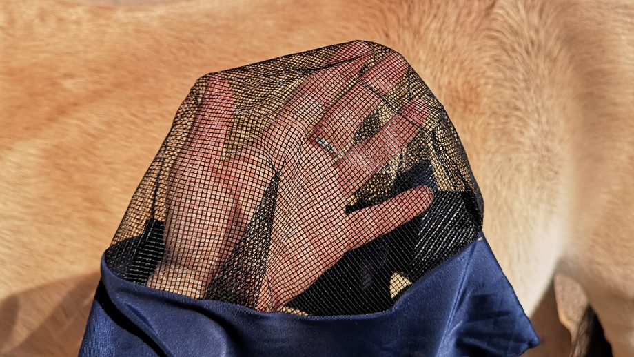 WeatherBeeta Lcyra fly mask eye section