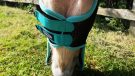 WeatherBeeta ComFiTec fly mask under chin