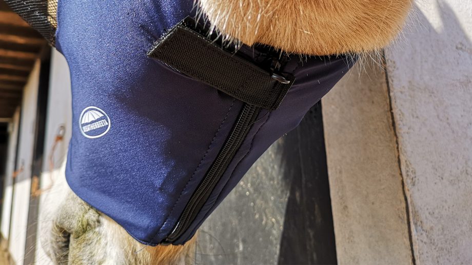 WeatherBeeta Lcyra fly mask fastening from below