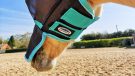 WeatherBeeta ComFiTec fly mask straps