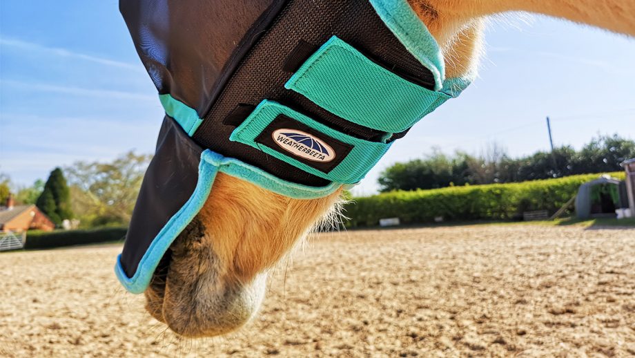 WeatherBeeta ComFiTec fly mask straps