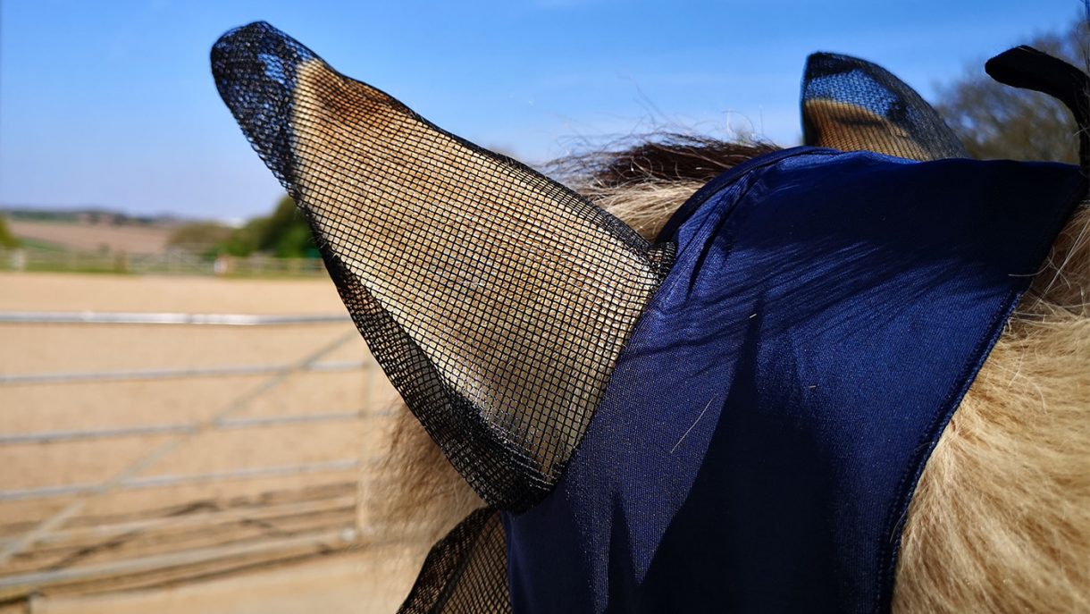 Weatherbeeta Capuche Extensible Weatherbeeta Avec Zip Bleu Fonce