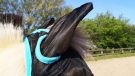 WeatherBeeta ComFiTec fly mask ear