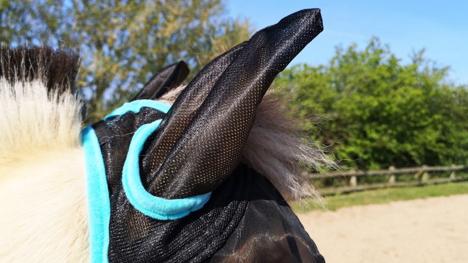WeatherBeeta ComFiTec fly mask ear