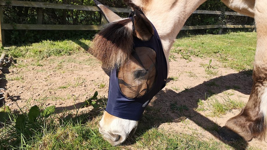WeatherBeeta Lcyra fly mask from side