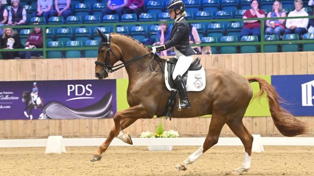 International dressage rider has spoken out about online abuse directed at riders on social media