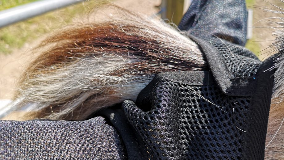 Woof Wear UV Fly Mask forelock hole