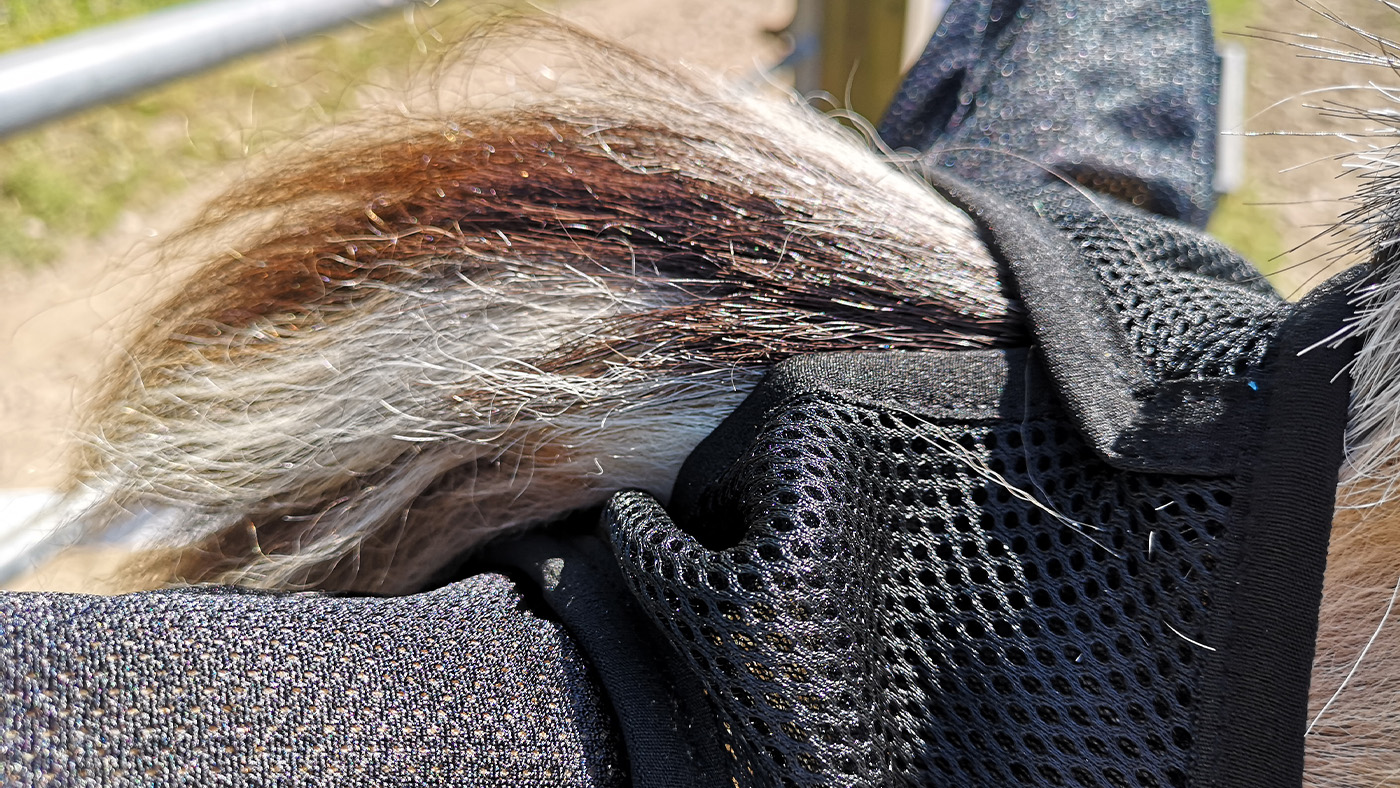 Woof Wear UV Fly Mask forelock hole