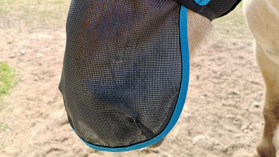 Woof Wear UV Fly Mask nose