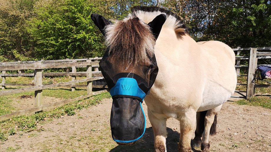 Woof Wear UV Fly Mask front on