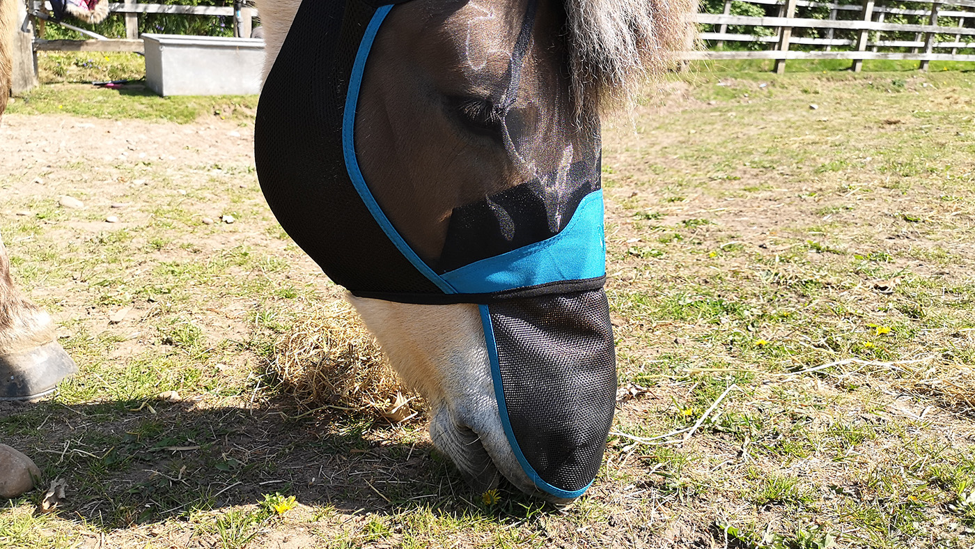 Woof Wear UV Fly Mask grazing