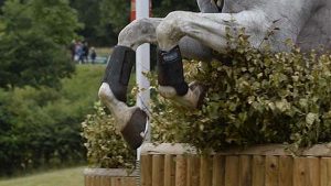 Eventing horse falls debate