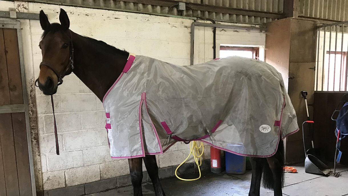 Swish Equestrian nylon cool fly rug review Horse & Hound