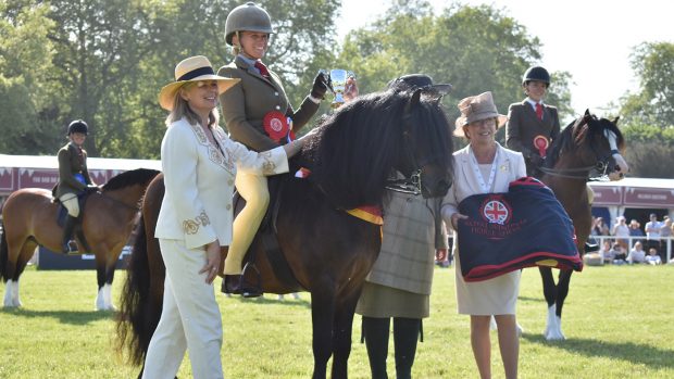 royal windsor m&m ridden championship