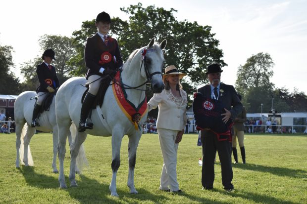 Royal Windsor ridden Arab championship