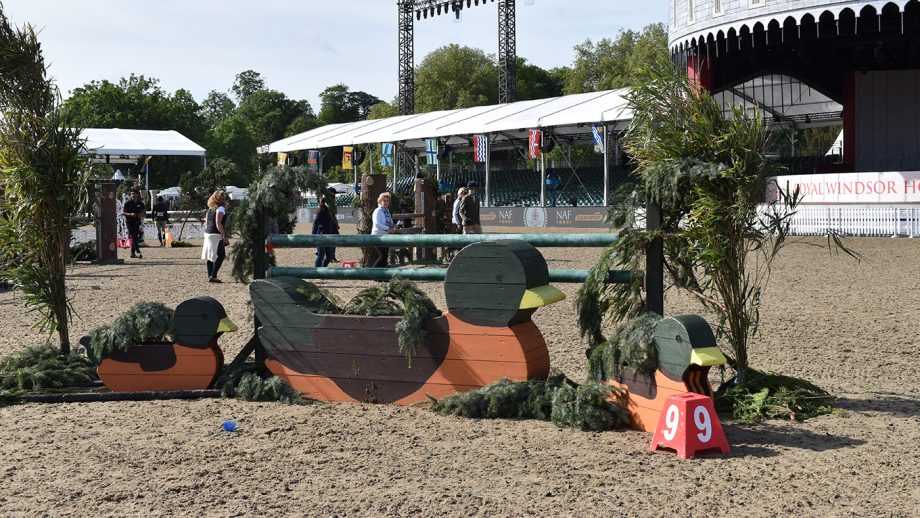 royal windsor working hunter course