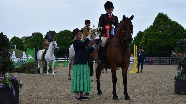 Royal Windsor working hunter pony