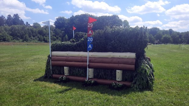Dogs at horse events: Luhmuhlen Horse Trials cross country course