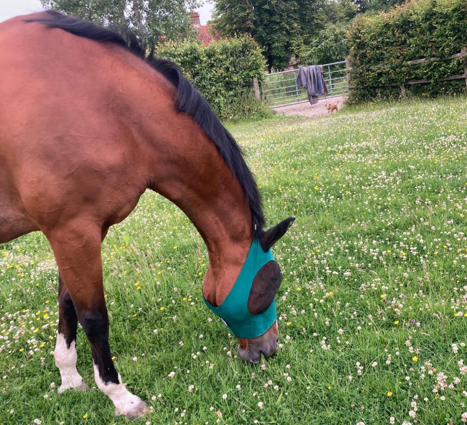 Hy Magic Sparkle two-in-one shampoo after bath