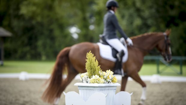 Horse sport governing bodies have introduced a range of initiatives to help during the cost of living crisis