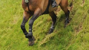 Coming down the Hickstead Derby bank