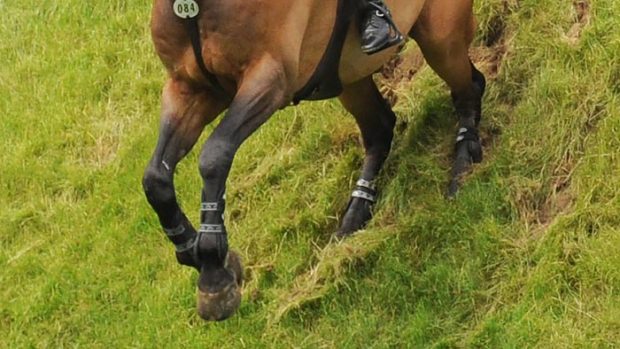 Coming down the Hickstead Derby bank