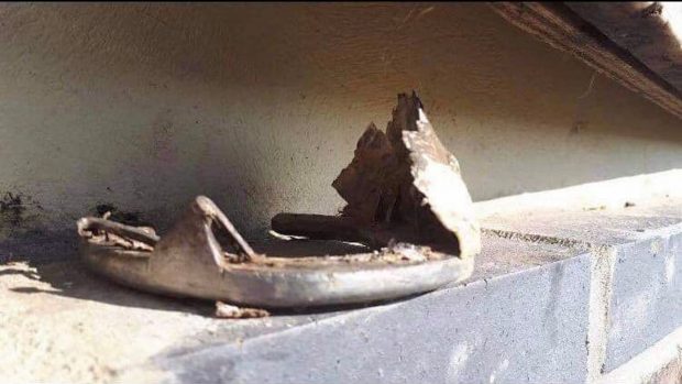 An owner of a Connemara pony hopes to raise more awareness about the incurable hoof wall separation disease