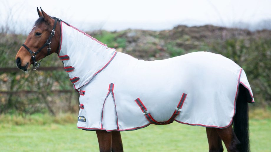 Best fly rugs for horses find the best protection Horse & Hound